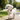 Outdoor Safety Tips for Dogs: Keeping Your Furry Friends Safe While Exploring