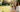 Smart vs Engraved Pet Tags: Which Fits Your Pet’s Life Best