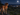 Golden retriever wearing an LED pet safety light during a nighttime outdoor walk, looking across a moonlit valley.