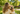 What to Do If Your Dog Gets Lost: A Step-by-Step Guide Every Pet Owner Should Know