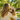 What to Do If Your Dog Gets Lost: A Step-by-Step Guide Every Pet Owner Should Know