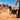 Border Collie wearing a Western cowboy print dog harness and matching leash while walking with its owner across a sunny desert landscape.