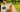 How Often Should You Walk Your Dog? A Guide by Age, Size, and Energy Level
