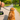 How Often Should You Walk Your Dog? A Guide by Age, Size, and Energy Level