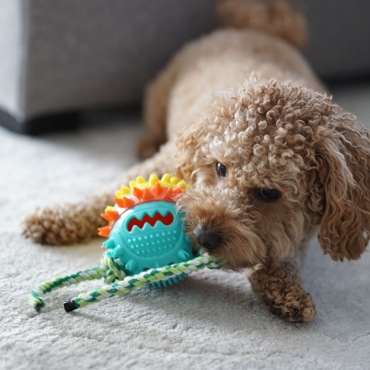 Unleash Joy: The Ultimate Multi-Functional Dog Toy!