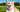 A cat wears the PawView Silicone ID Tag