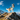 Siberian Husky wearing a blue adjustable dog harness while standing on a rocky mountain trail. 