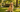 How to Choose the Best Dog Poop Bags: Key Things to Consider Before Buying