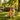 How to Choose the Best Dog Poop Bags: Key Things to Consider Before Buying