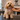 Smart Pet ID Tags Aren't Just for Lost Pets: 7 Everyday Ways to Use Them