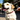 How to Create a Lost Pet Alert with the PawView App — Before Panic Happens