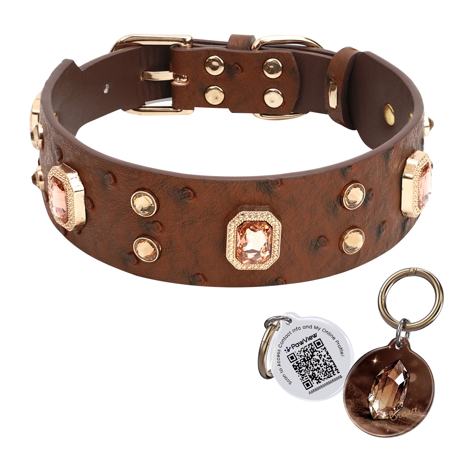 https://www.pawview.com/cdn/shop/files/2_596adaa0-ddb5-4e4a-bb19-ff59aaacdd38.jpg?v=1776072993&width=1680