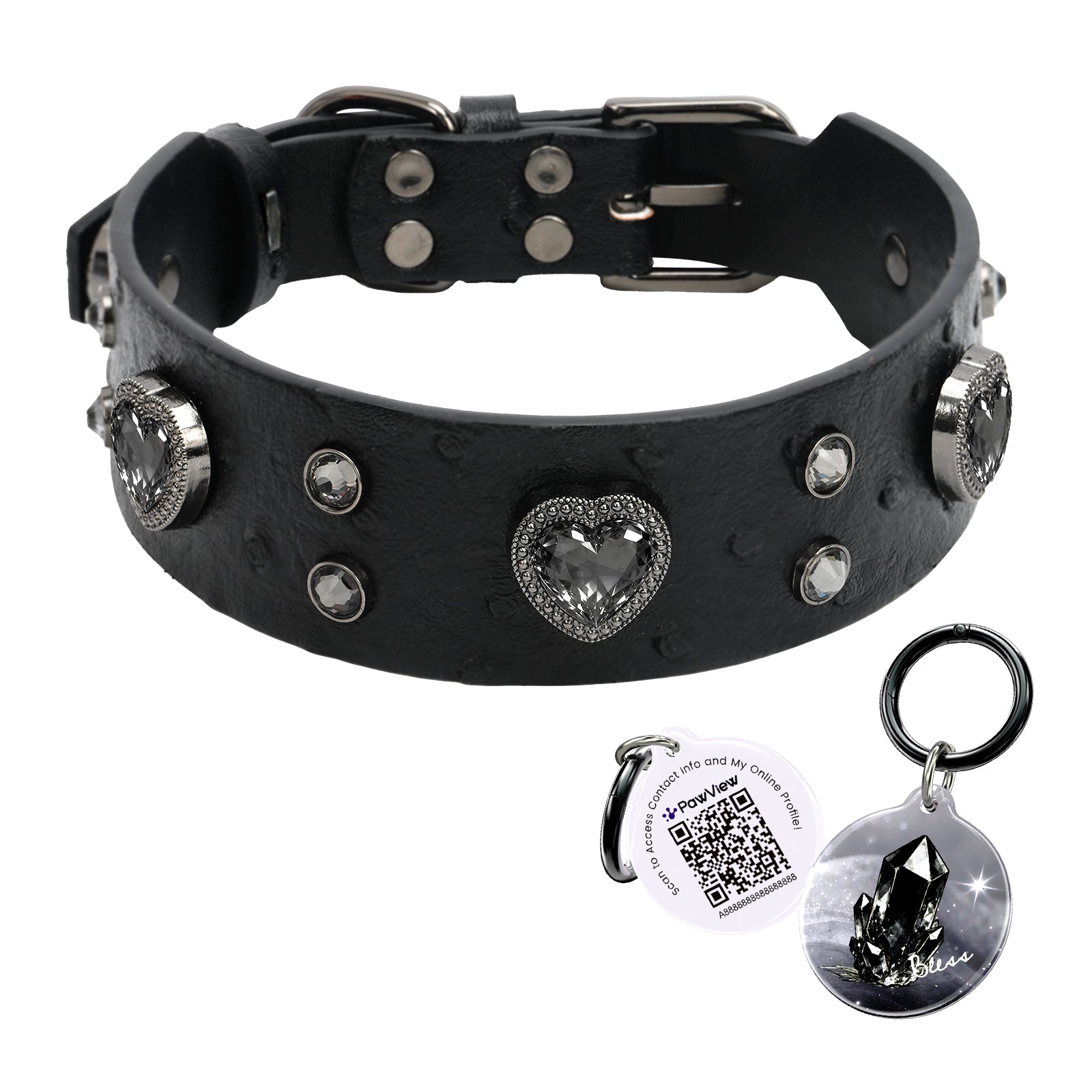 https://www.pawview.com/cdn/shop/files/2_87998276-6f2e-4805-b98e-3bf2c5bf6c4c.jpg?v=1776072945&width=1680