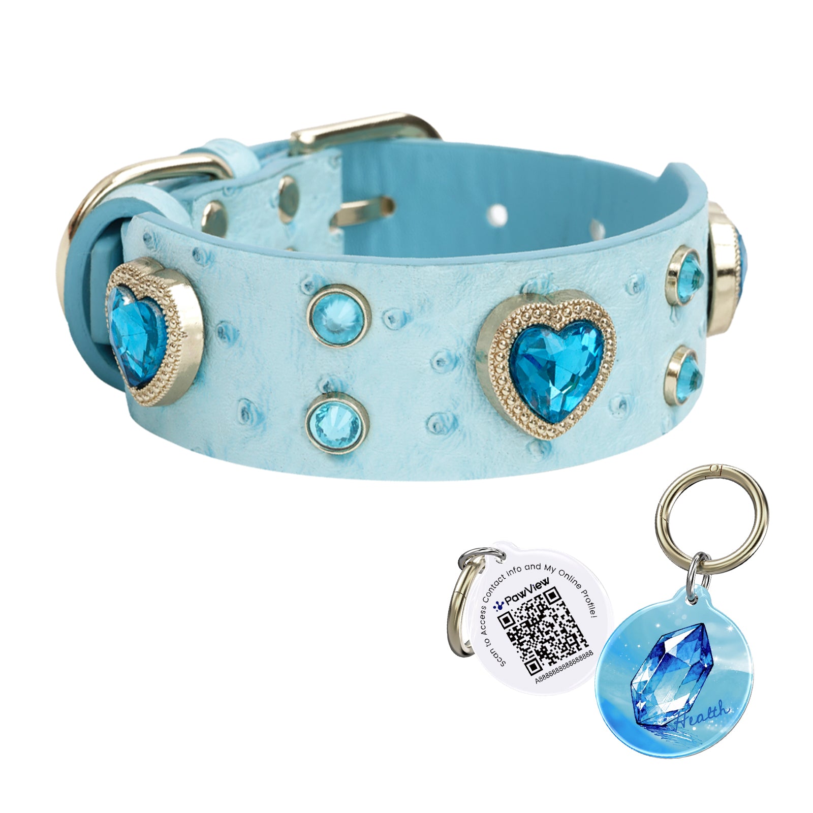 https://www.pawview.com/cdn/shop/files/2_fa0efe40-2a5c-456f-b046-b0fa196d3647.jpg?v=1776072973&width=1680