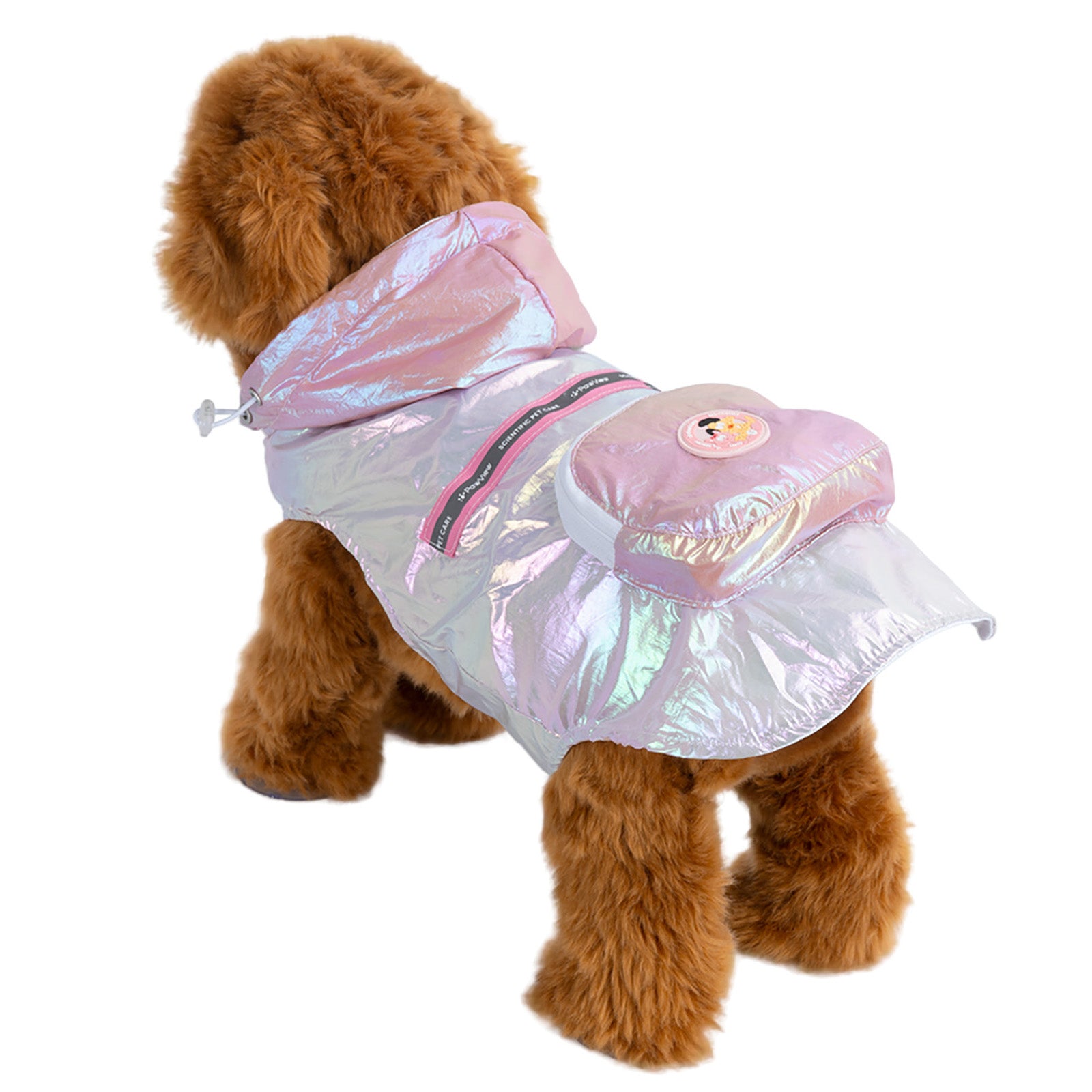 https://www.pawview.com/cdn/shop/files/PawView-RC001.jpg?v=1761122035&width=1680