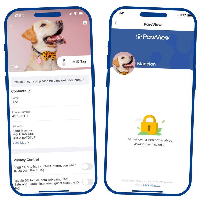 The PawView - Your Pet's Paradise for Toys, Essentials, and Surprise